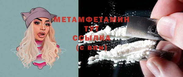 прущие крисы Няндома