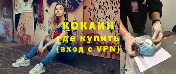 прущие крисы Няндома