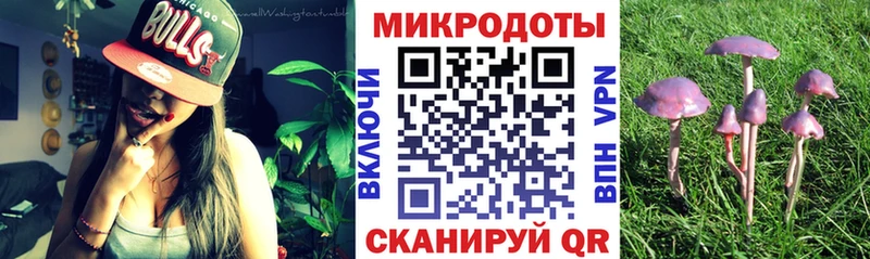Псилоцибиновые грибы мицелий Туймазы