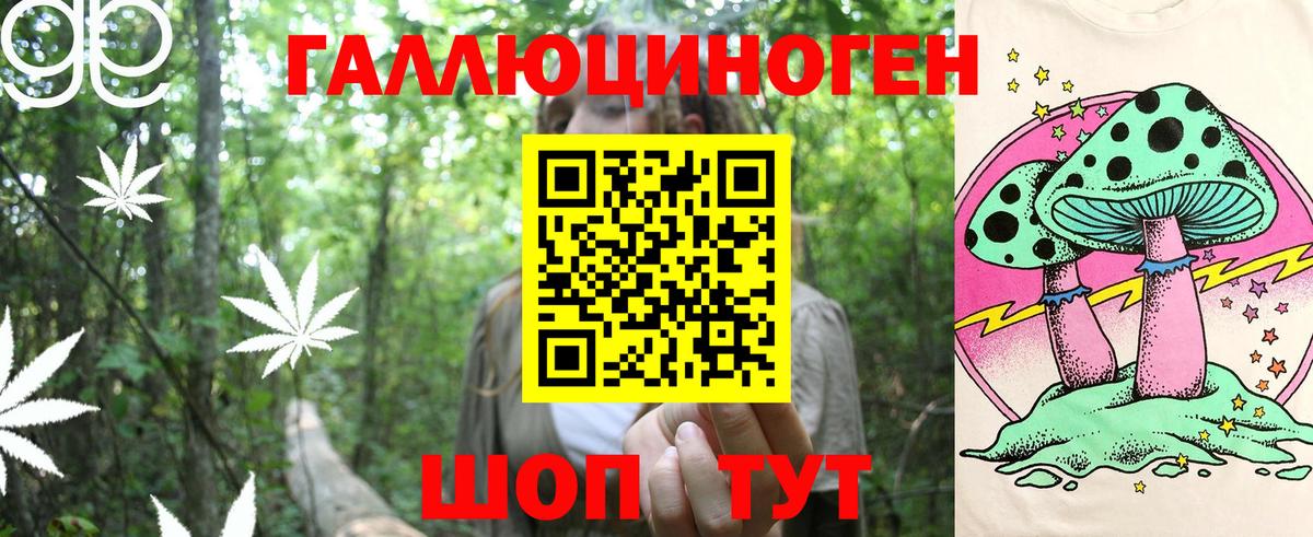 Псилоцибиновые грибы прущие грибы Туймазы