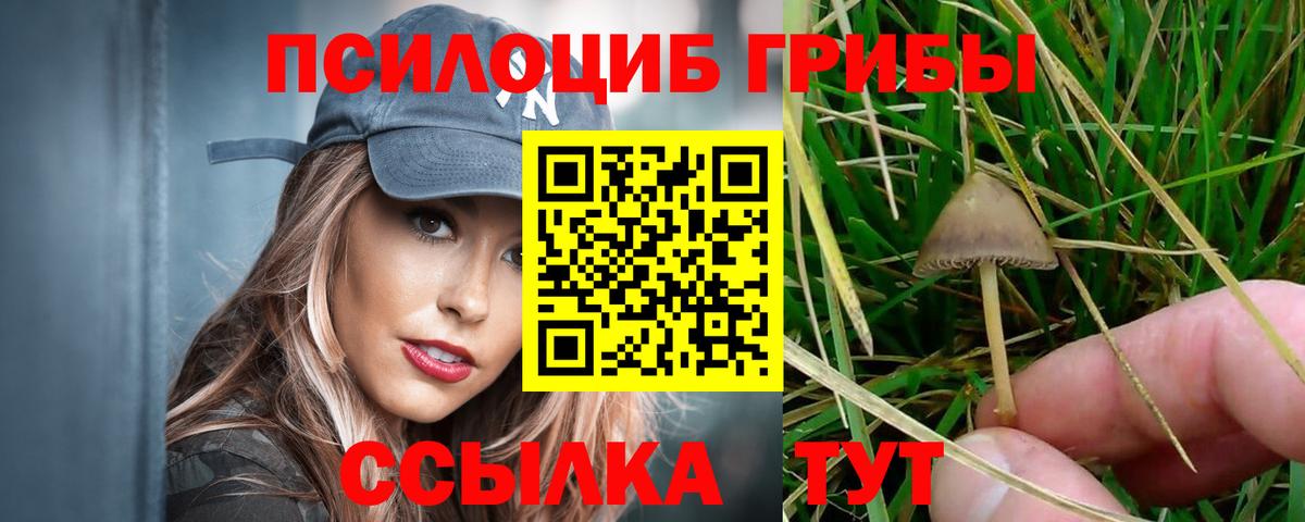 Туймазы  Псилоцибиновые грибы GOLDEN TEACHER  Вход с VPN 